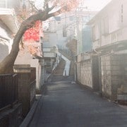 THE LIGHT