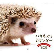 ハリネズミカレンダー 2019 [カレンダー]