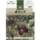 オリーブ(NHK趣味の園芸 12か月栽培ナビ〈10〉) [全集叢書]