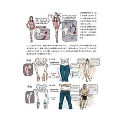 ヨドバシ.com - ソッカの美術解剖学ノート [単行本] 通販【全品