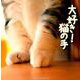 大好き！ 猫の手 （メディアックスMOOK） [ムックその他]