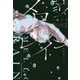 メロウレイン―ふったらどしゃぶり [単行本]