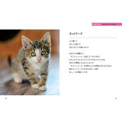 ヨドバシ Com 文句の多い子猫たち 単行本 通販 全品無料配達