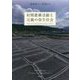 初期農耕活動と近畿の弥生社会 [単行本]