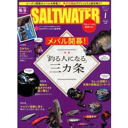 SALT WATER (ソルトウォーター) 2019年 01月号 [雑誌]