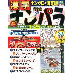 ナンパラ 2019年 01月号 [雑誌]