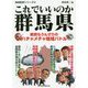 これでいいのか群馬県(地域批評シリーズ〈31〉) [文庫]