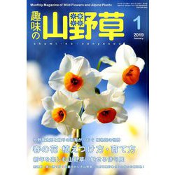 趣味の山野草 2019年 01月号 [雑誌]