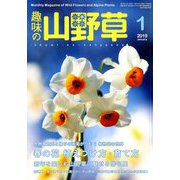 趣味の山野草 2019年 01月号 [雑誌]