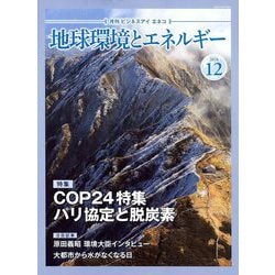 月刊 ビジネスアイエネコ 2018年 12月号 [雑誌]