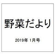 野菜だより 2019年 01月号 [雑誌]