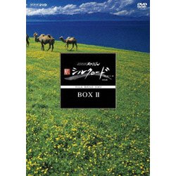 NHKスペシャル 新シルクロード 特別版 DVD-BOXⅡ [DVD]