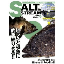 SALT&STREAM 2019年 02月号 [雑誌]