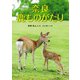奈良 鹿ものがたり(はじめてのノンフィクションシリーズ) [全集叢書]