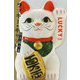 ラッキー・キャット―招き猫の本 [単行本]