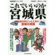 地域批評シリーズ33 これでいいのか宮城県 [文庫]
