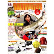 SALT WATER (ソルトウォーター) 2019年 02月号 [雑誌]