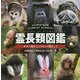 霊長類図鑑―サルを知ることはヒトを知ること [図鑑]