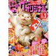 ビッグコミックオリジナル 2019年 1/5号 [雑誌]