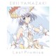 山崎エリイ／Last Promise