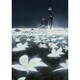NieR:Orchestra Concert 12018 [Blu-ray Disc]