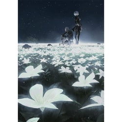 NieR:Orchestra Concert 12018 [Blu-ray Disc]
