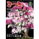 さつき研究 2019年 02月号 [雑誌]