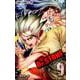 Dr.STONE 9(ジャンプコミックス) [コミック]