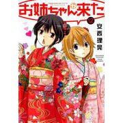 お姉ちゃんが来た 12（バンブー・コミックス） [コミック]