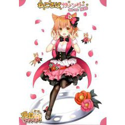 ねこさばカレンダー のんver.2019 [単行本]