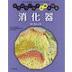 消化器―食べるしくみ(ミクロワールド人体大図鑑) [全集叢書]