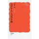 ユダヤ人とユダヤ教(岩波新書) [新書]