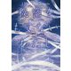 秘密をもてないわたし―I Have No Secrets [単行本]