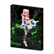 魔法少女特殊戦あすか 2