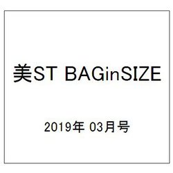 美ST BAGinSIZE 2019年 03月号 [雑誌]