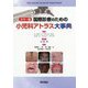 カラー版 国際診療のための小児科アトラス大事典 [単行本]