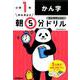 小１かん字(早ね早おき朝５分ドリル<１２>) [全集叢書]