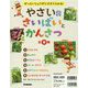 ぜったいじょうずにそだてられる!やさいのさいばいとかんさつ 全6巻 [全集叢書]
