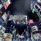 the Raid.／歌舞伎町レイニー