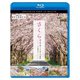 さくら 春を彩る 華やかな桜のある風景 4K撮影作品 (ビコム Relaxes) [Blu-ray Disc]