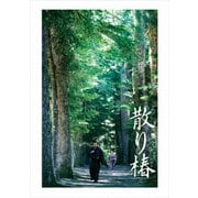 散り椿