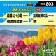 音多Station W [DVD]