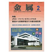 金属 2019年 02月号 [雑誌]