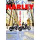 VIRGIN HARLEY 2019年 03月号 [雑誌]