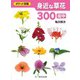 身近な草花300 街中（ポケット図鑑） [図鑑]