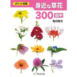 身近な草花300 街中（ポケット図鑑） [図鑑]