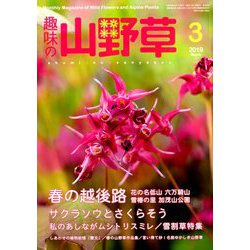 趣味の山野草 2019年 03月号 [雑誌]