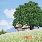 抒情歌 ベスト (BEST SELECT LIBRARY 決定版)