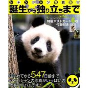 シャンシャン写真集 誕生から独り立ちまで（メディアックスMOOK） [ムックその他]