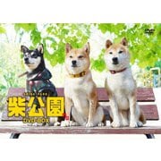 柴公園 TVシリーズ DVD-BOX